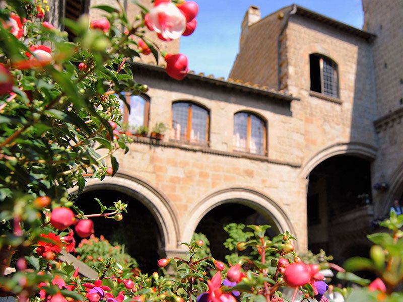 Flower shows in Viterbo